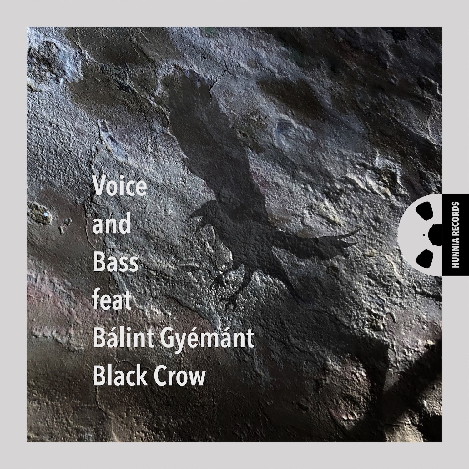 HRCD2015 Voice and Bass feat. Bálint Gyémánt &ndash; Black Crow