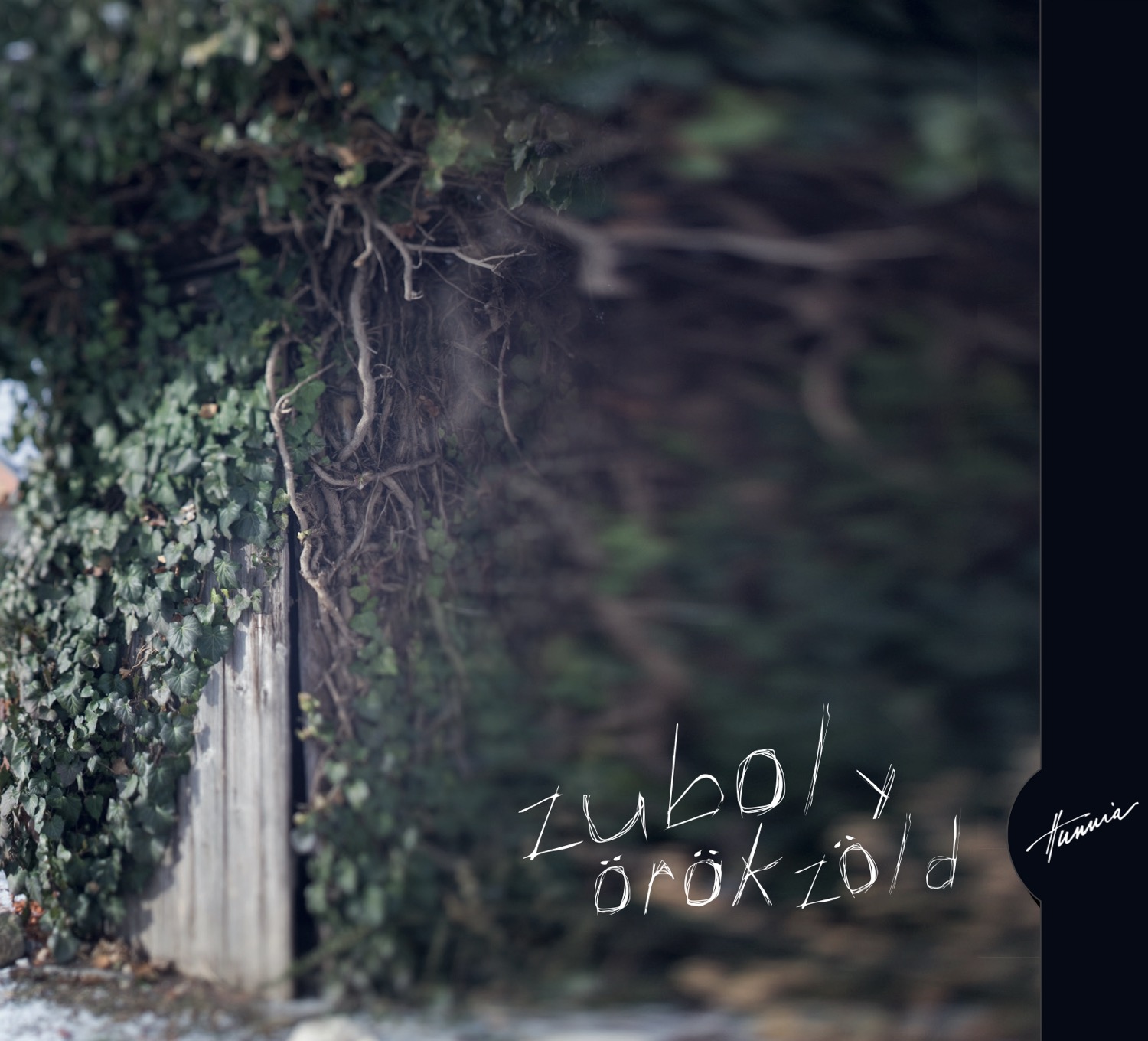 HRCD1701 Zuboly &ndash; Örökzöld