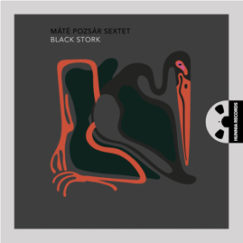 HRCD2015 Voice and Bass feat. Bálint Gyémánt – Black Crow