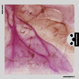 HRES2503 Ákos Nagy &ndash; Lineaments II