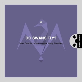 HRES2224 Gábor Csordás, Noriaki Hosoya, Marty Risemberg &ndash; Do Swans Fly?