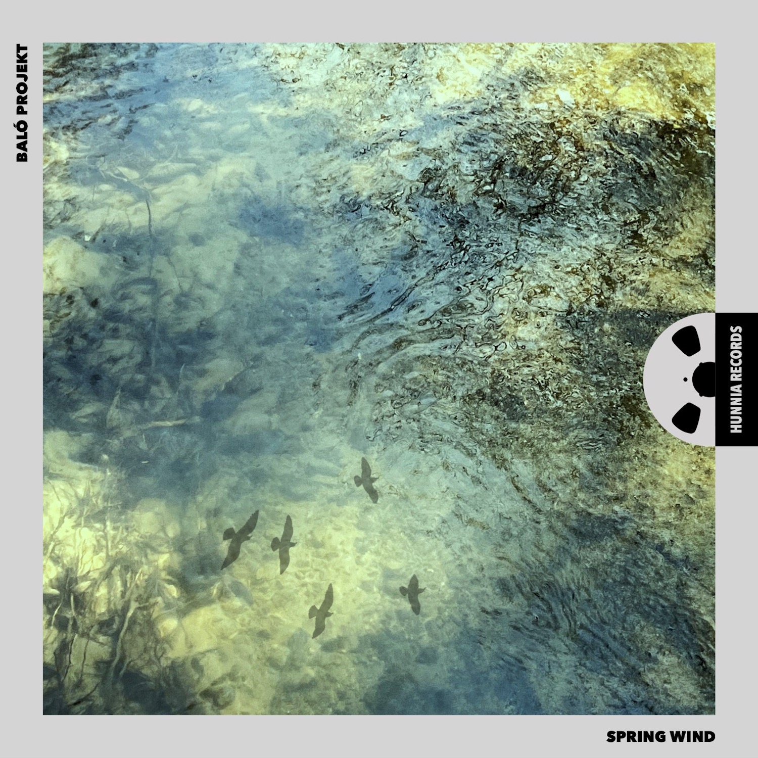 HRES2210 Baló Projekt &ndash; Spring Wind