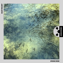 HRES2210 Baló Projekt &ndash; Spring Wind